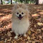 Ersteller:in soso Profilbild