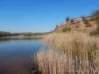 Hundeauslaufgebiet-Mittelweg bei Neuborna-Bild