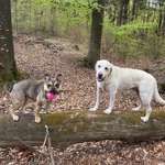 Ersteller:in Bianca Profilbild