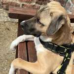 Ersteller:in Denise Profilbild