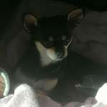 Ersteller:in Petra Profilbild