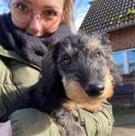 Ersteller:in Katharina Profilbild