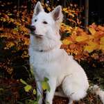 Ersteller:in Sarah Profilbild