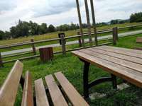 Hundeauslaufgebiet-Wilhelminenaue-Bild