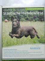 Hundeauslaufgebiet-Wilhelminenaue-Bild