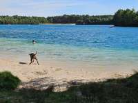 Hundeauslaufgebiet-Hundestrand am Dankernsee-Bild