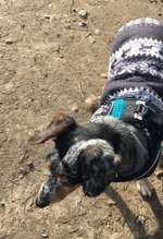 69. Handy-Fotochallenge: Soundtrack-Beitrag-Bild