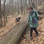 Ersteller:in Caroline Profilbild