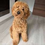 Ersteller:in Christine Profilbild