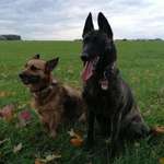 Ersteller:in Pia Profilbild