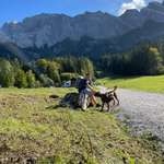 Ersteller:in Ediz Profilbild