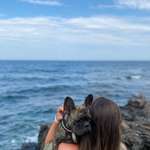 Ersteller:in Katie Profilbild