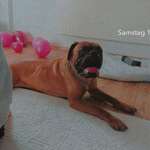 Ersteller:in Christina Profilbild