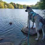 Ersteller:in Nina Profilbild