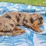 Ersteller:in Emilia Profilbild