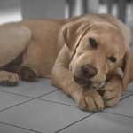 Ersteller:in Nadine Profilbild