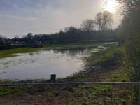 Hundeauslaufgebiet-Auf Telgte-Bild