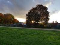 Hundeauslaufgebiet-Rennbahn-Bild