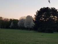 Hundeauslaufgebiet-Johannes-Giesbert-Park-Bild