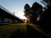 Hundeauslaufgebiet-Merheimer Straße-Bild