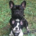 Ersteller:in Ramona Profilbild