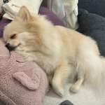 Ersteller:in Albina Profilbild