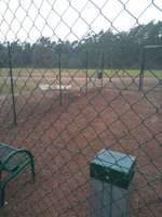 Hundeauslaufgebiet-Lingen-Bild