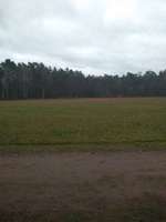 Hundeauslaufgebiet-Lingen-Bild