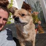 Ersteller:in Ewgenia Profilbild