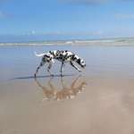 Ersteller:in Silke Profilbild