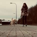 Ersteller:in Terzia Profilbild