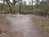 Hundeauslaufgebiet-Ehemaliger Campingplatz Kupferteich-Bild