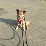 Ersteller:in Miri Profilbild