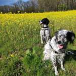 Ersteller:in Alexandra Profilbild