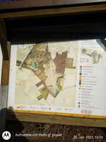 Hundeauslaufgebiet-Naturschutzgebiet Waldhuegel-Bild