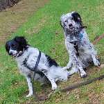 Ersteller:in Alexandra Profilbild