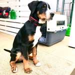 Ersteller:in Reinhard Profilbild