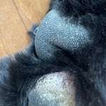 Was könnte das sein?-Beitrag-Bild