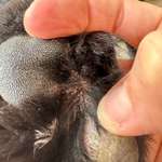 Was könnte das sein?-Beitrag-Bild