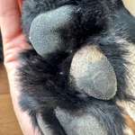 Was könnte das sein?-Beitrag-Bild