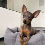 Ersteller:in Alexandra Profilbild