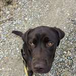 Ersteller:in Melanie Profilbild