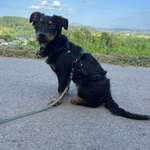 Ersteller:in Iris Profilbild