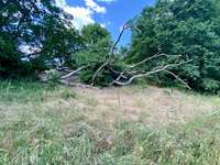 Hundeauslaufgebiet-Okeraue Veltenhof/Mittellandkanal-Bild