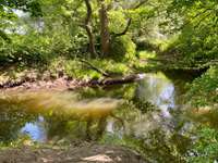 Hundeauslaufgebiet-Okeraue Veltenhof/Mittellandkanal-Bild