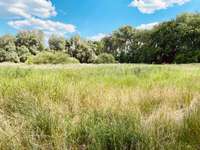 Hundeauslaufgebiet-Okeraue Veltenhof/Mittellandkanal-Bild