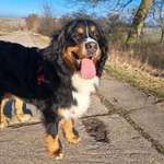 Ersteller:in Annett Profilbild