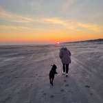 Ersteller:in Julia Profilbild