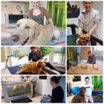 Ersteller:in Melanie Profilbild