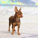 Ersteller:in Angelique Profilbild